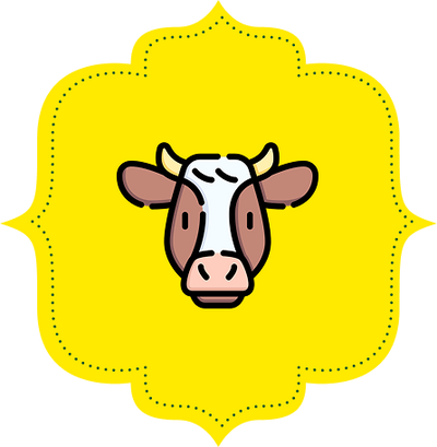 Gir Cow Ghee