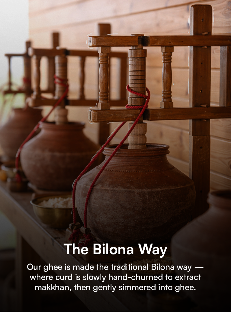 What Do We Look For?