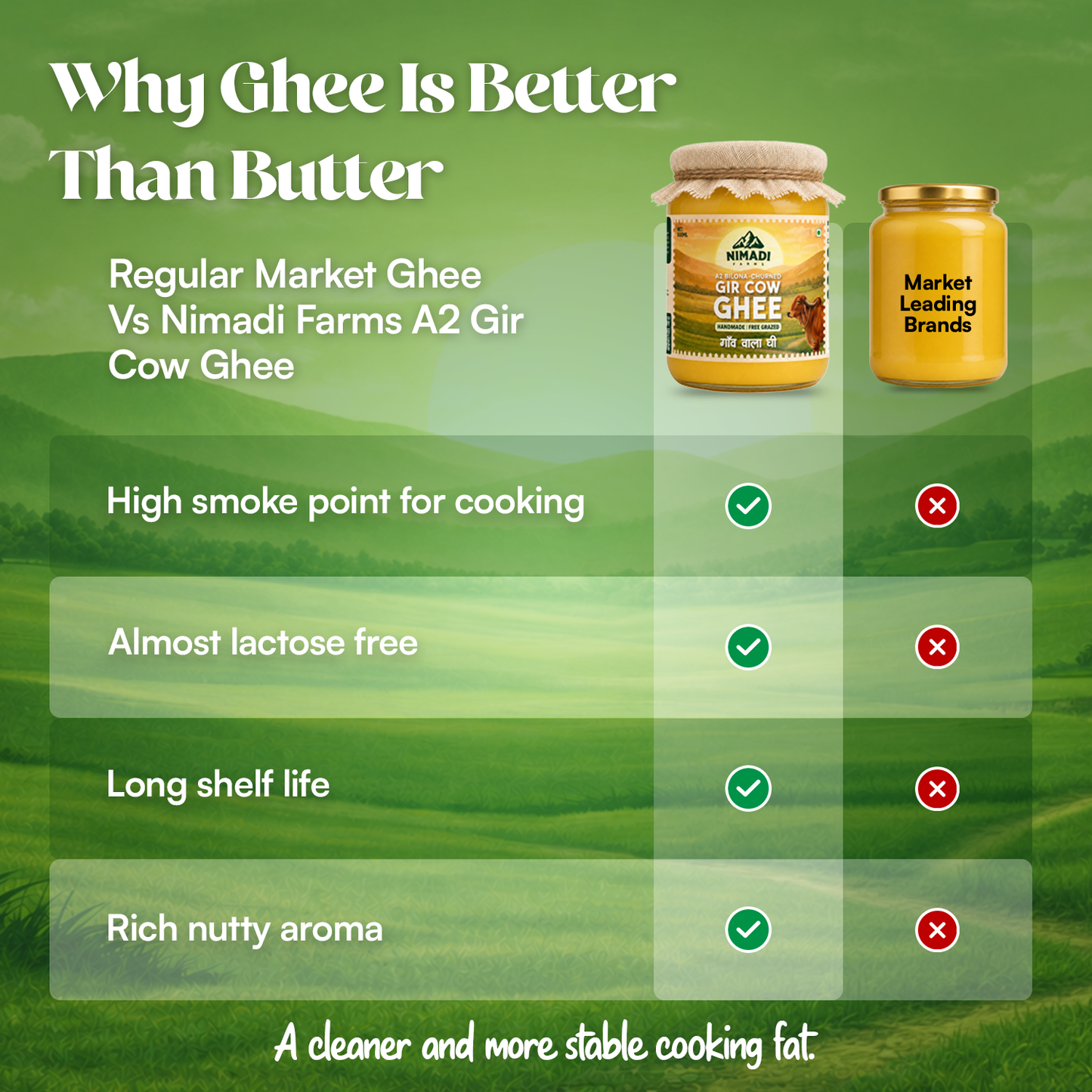 A2 Bilona Churned - Gir Cow Ghee