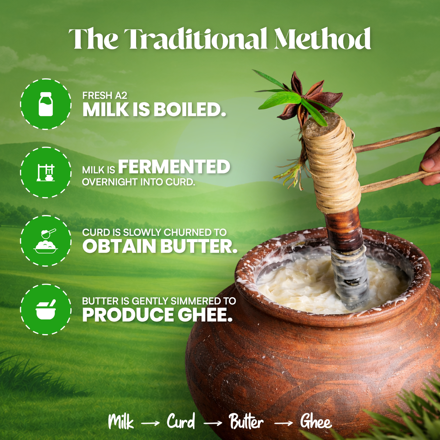 A2 Bilona Churned - Gir Cow Ghee