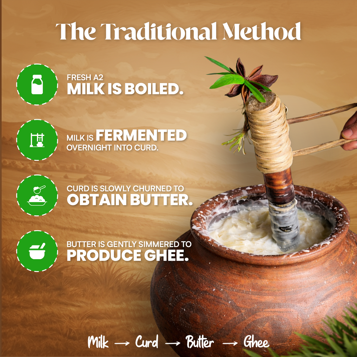 A2 Bilona Churned - Desi Cow Ghee