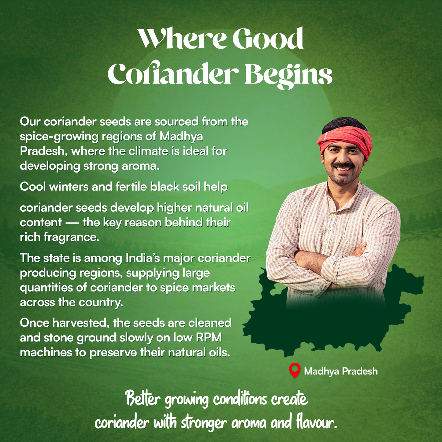 Coriander Powder - Stone Crushed (RPM <= 140)