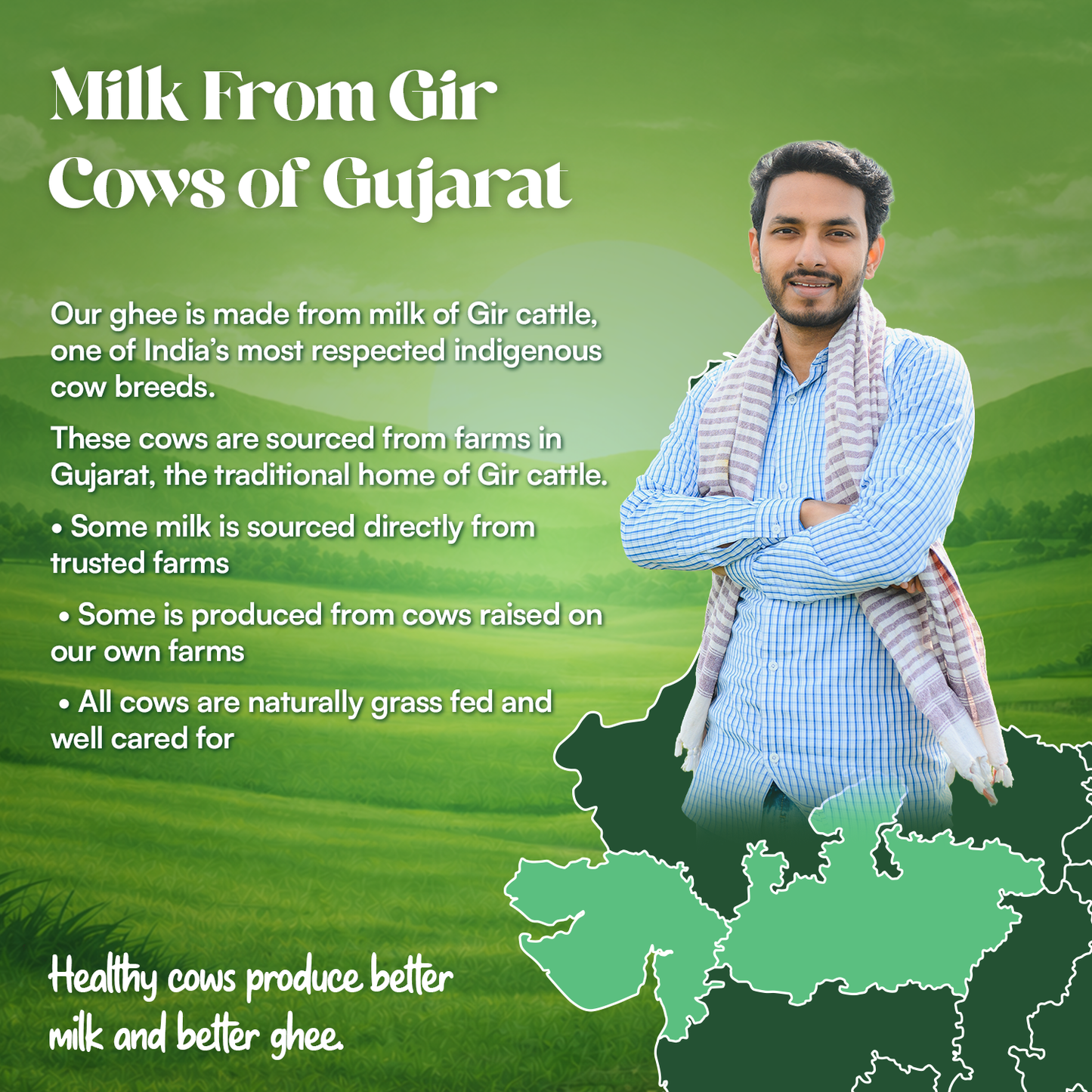 A2 Bilona Churned - Gir Cow Ghee