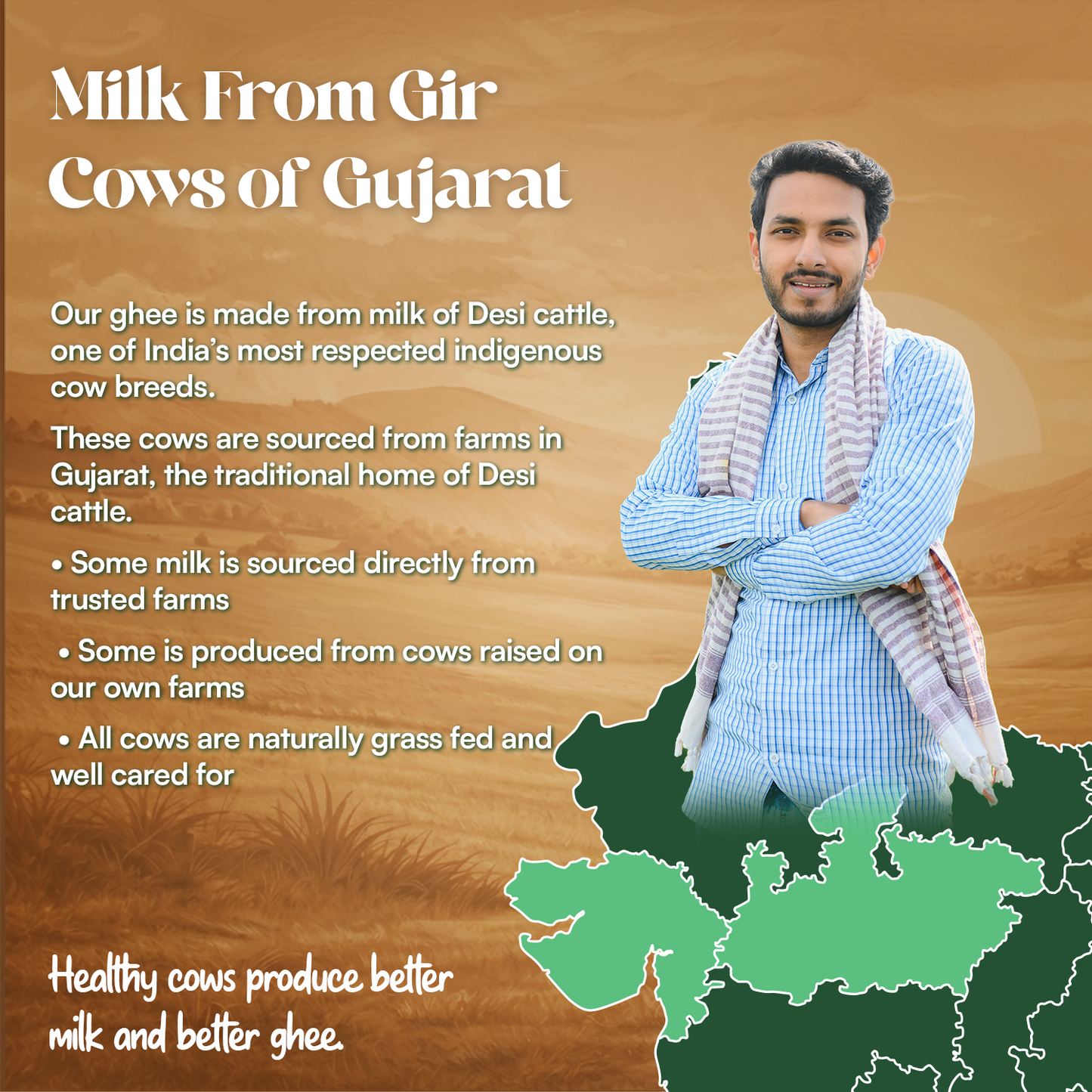 A2 Bilona Churned - Desi Cow Ghee