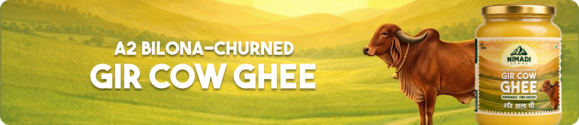 Gir Cow Ghee - Collection Page